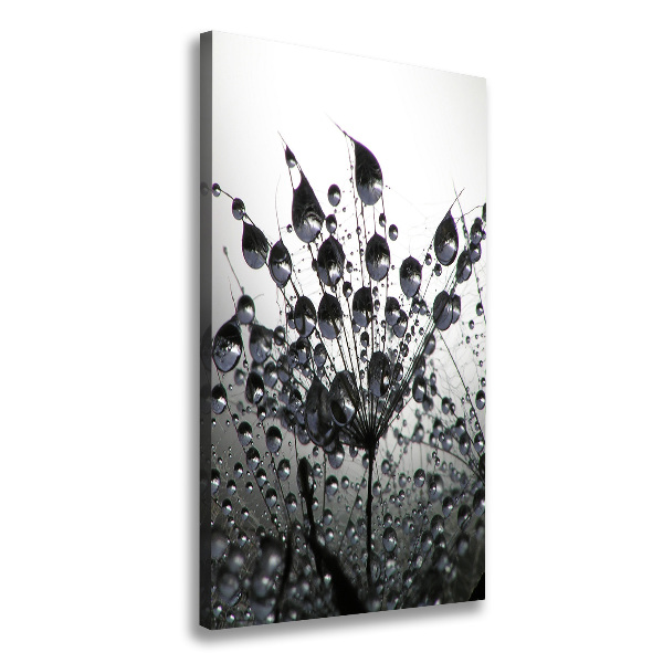 Canvas wall art Dandelion seeds