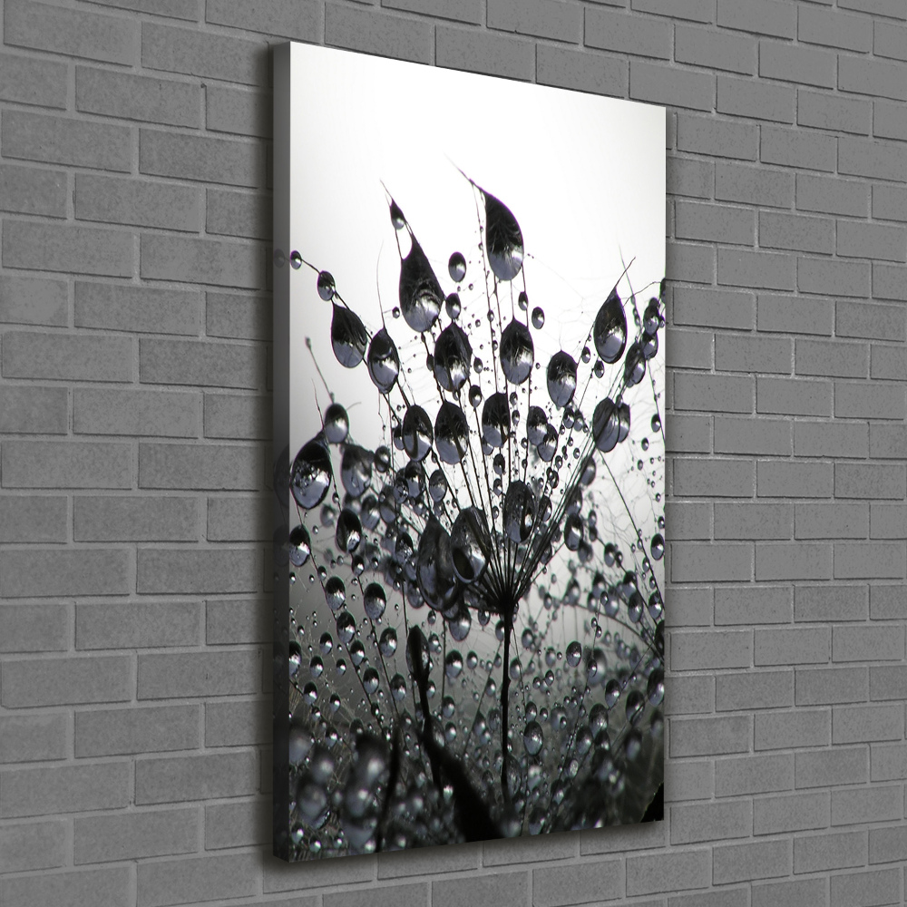 Canvas wall art Dandelion seeds