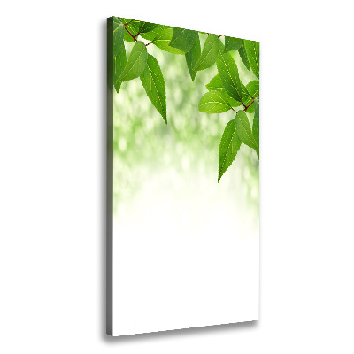 Wall art canvas large Green leaves