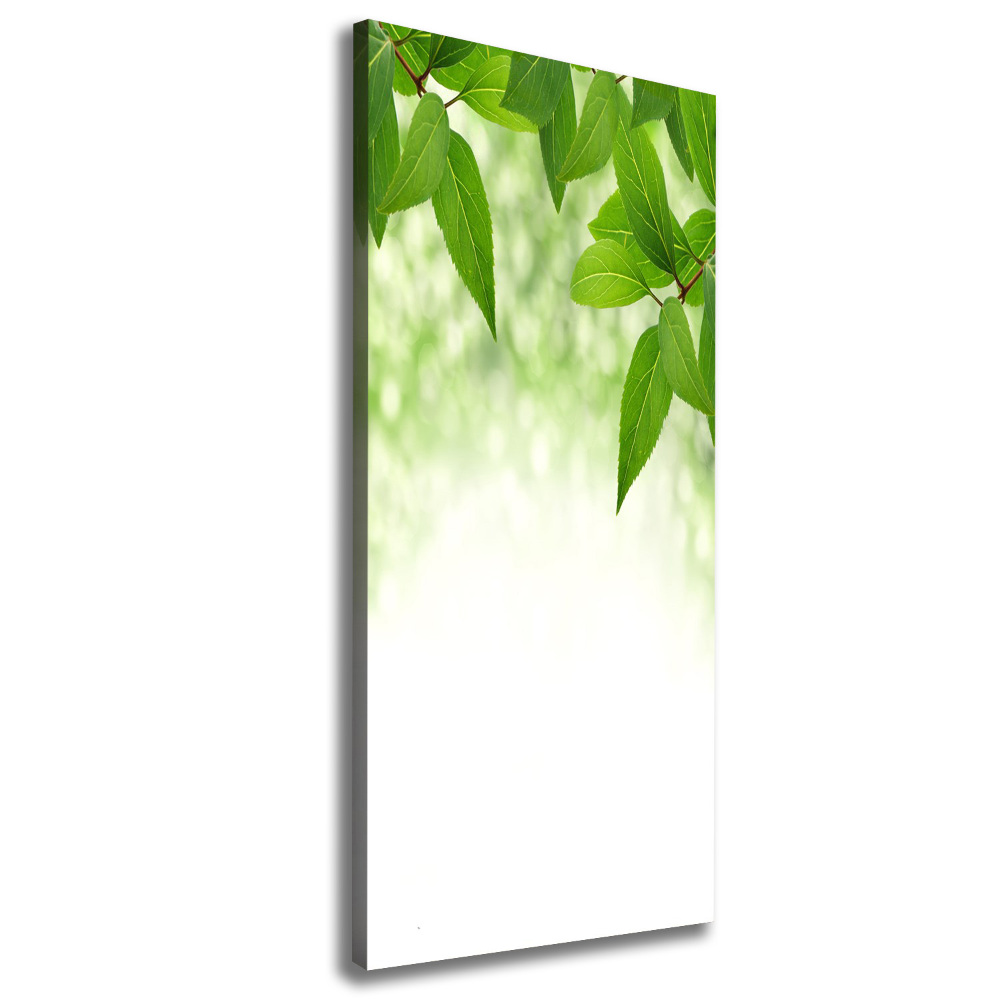 Wall art canvas large Green leaves