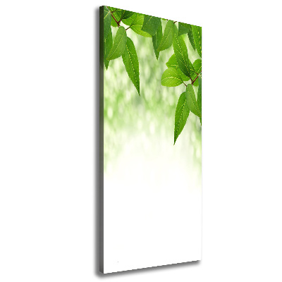 Wall art canvas large Green leaves