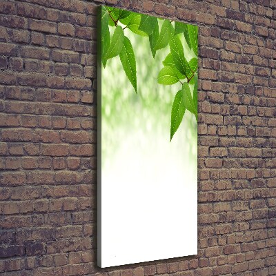 Wall art canvas large Green leaves