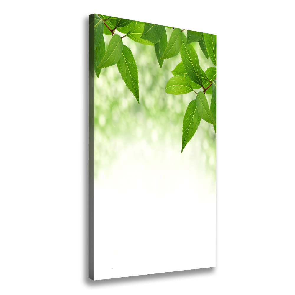 Wall art canvas large Green leaves