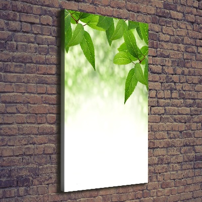 Wall art canvas large Green leaves