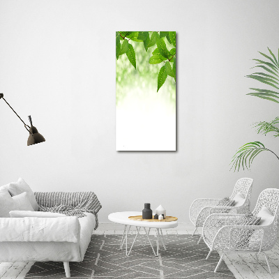 Wall art canvas large Green leaves