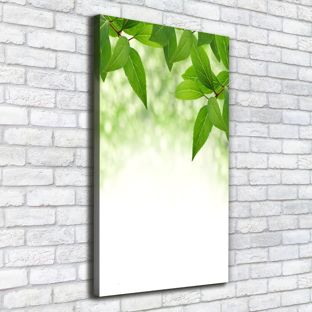 Wall art canvas large Green leaves