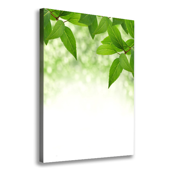 Wall art canvas large Green leaves