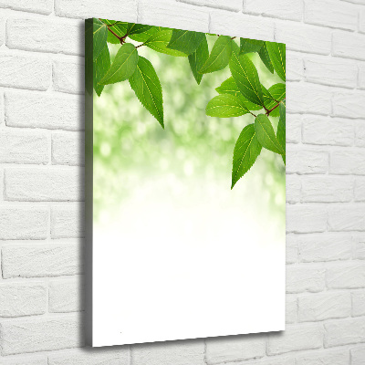 Wall art canvas large Green leaves