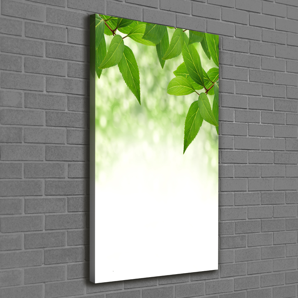 Wall art canvas large Green leaves