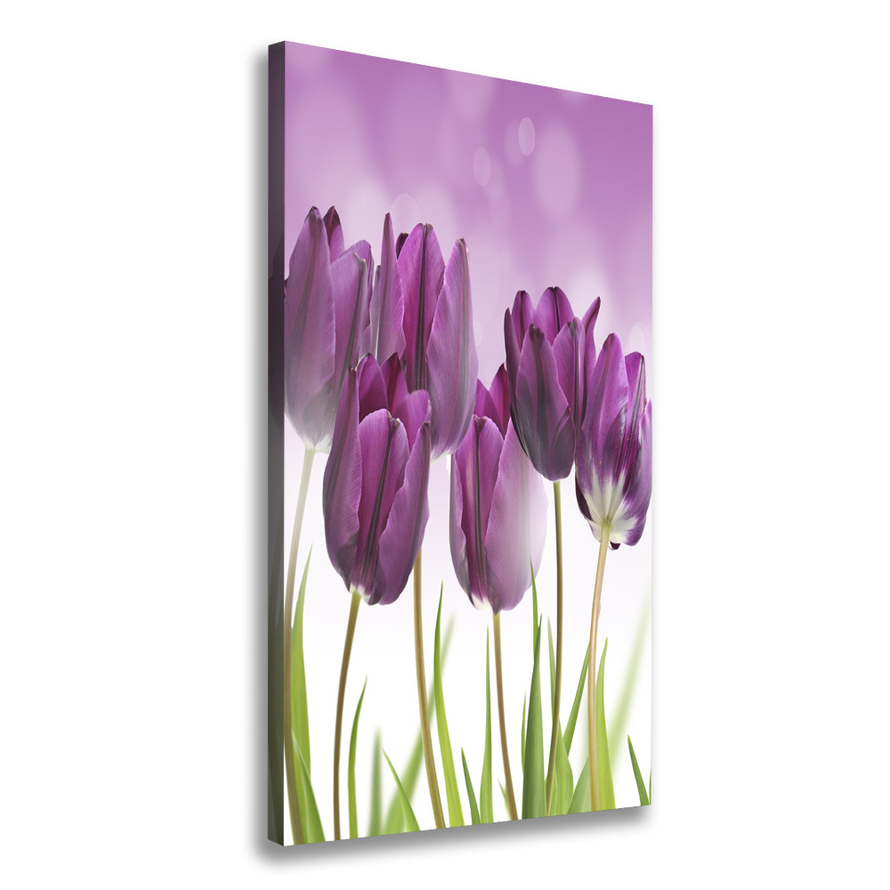 Large canvas wall art Violet tulips