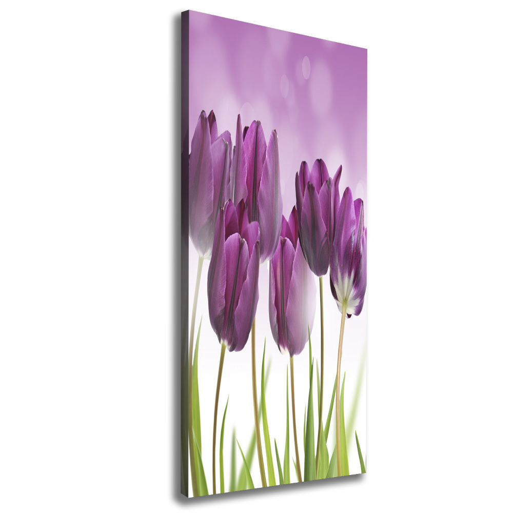 Large canvas wall art Violet tulips