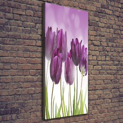 Large canvas wall art Violet tulips