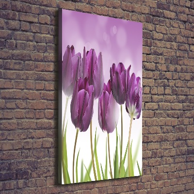 Large canvas wall art Violet tulips