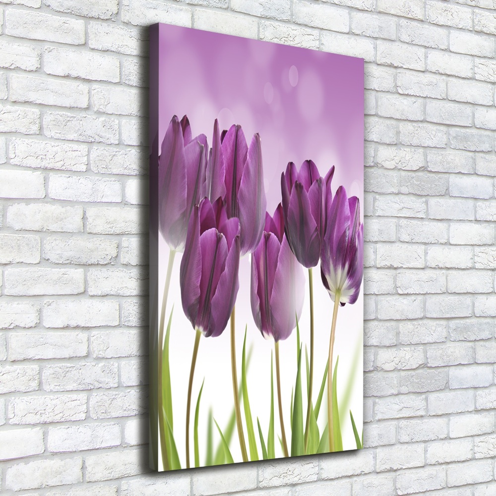 Large canvas wall art Violet tulips