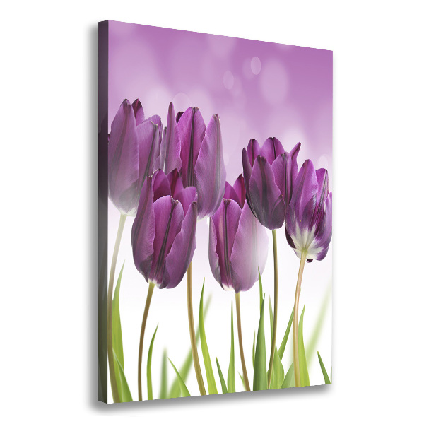 Large canvas wall art Violet tulips