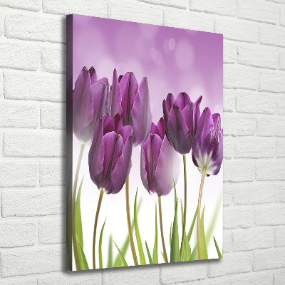 Large canvas wall art Violet tulips