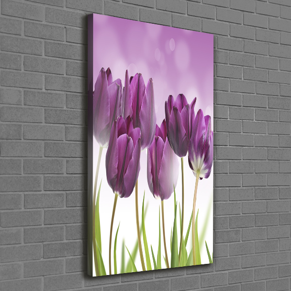 Large canvas wall art Violet tulips