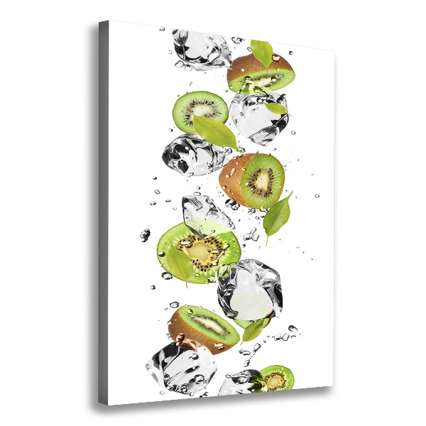 Canvas wall art Kiwi and water