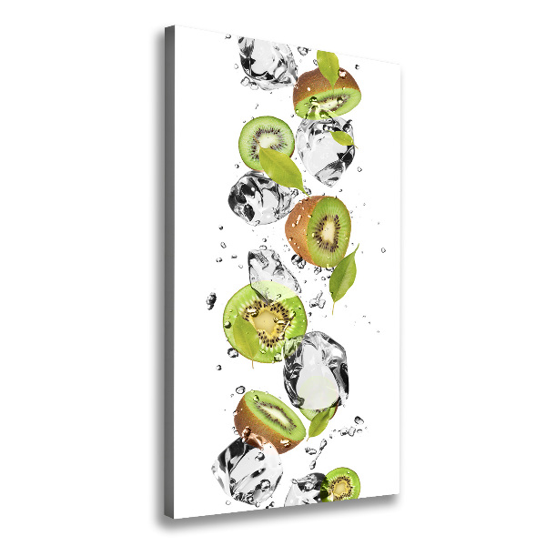 Canvas wall art Kiwi and water