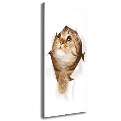 Canvas wall art Cat