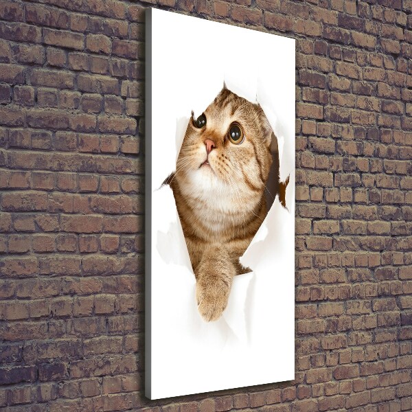 Canvas wall art Cat