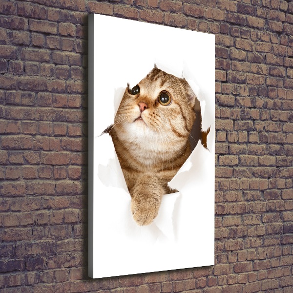 Canvas wall art Cat