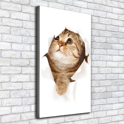 Canvas wall art Cat