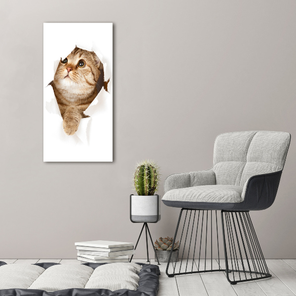 Canvas wall art Cat