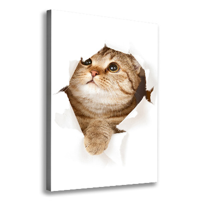 Canvas wall art Cat