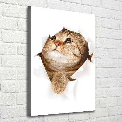 Canvas wall art Cat