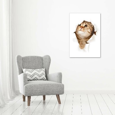 Canvas wall art Cat