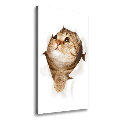 Canvas wall art Cat