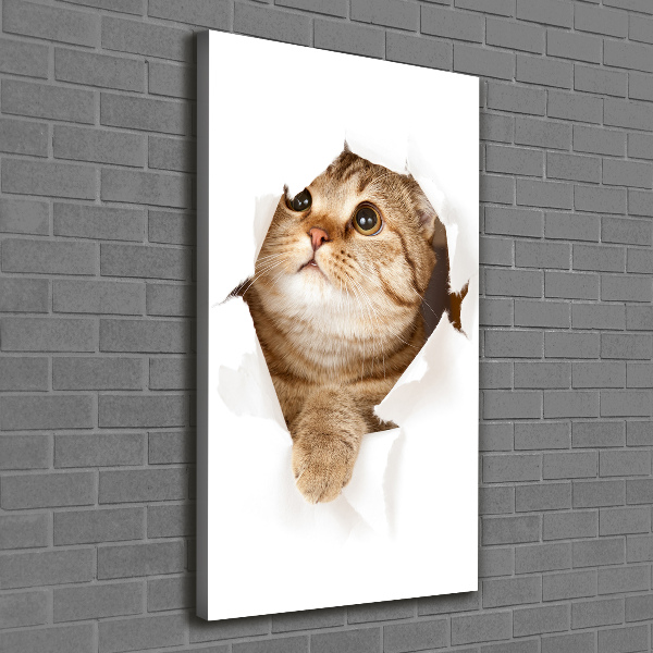 Canvas wall art Cat