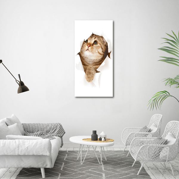 Canvas wall art Cat