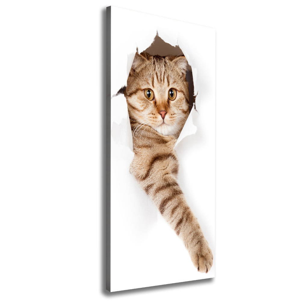 Canvas wall art Cat