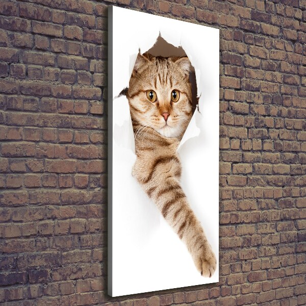 Canvas wall art Cat