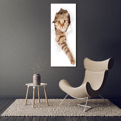 Canvas wall art Cat