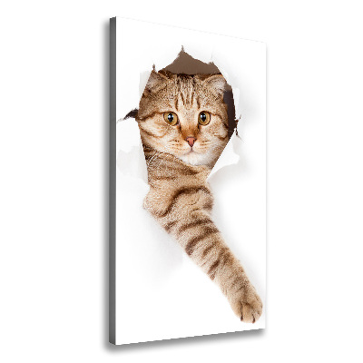 Canvas wall art Cat