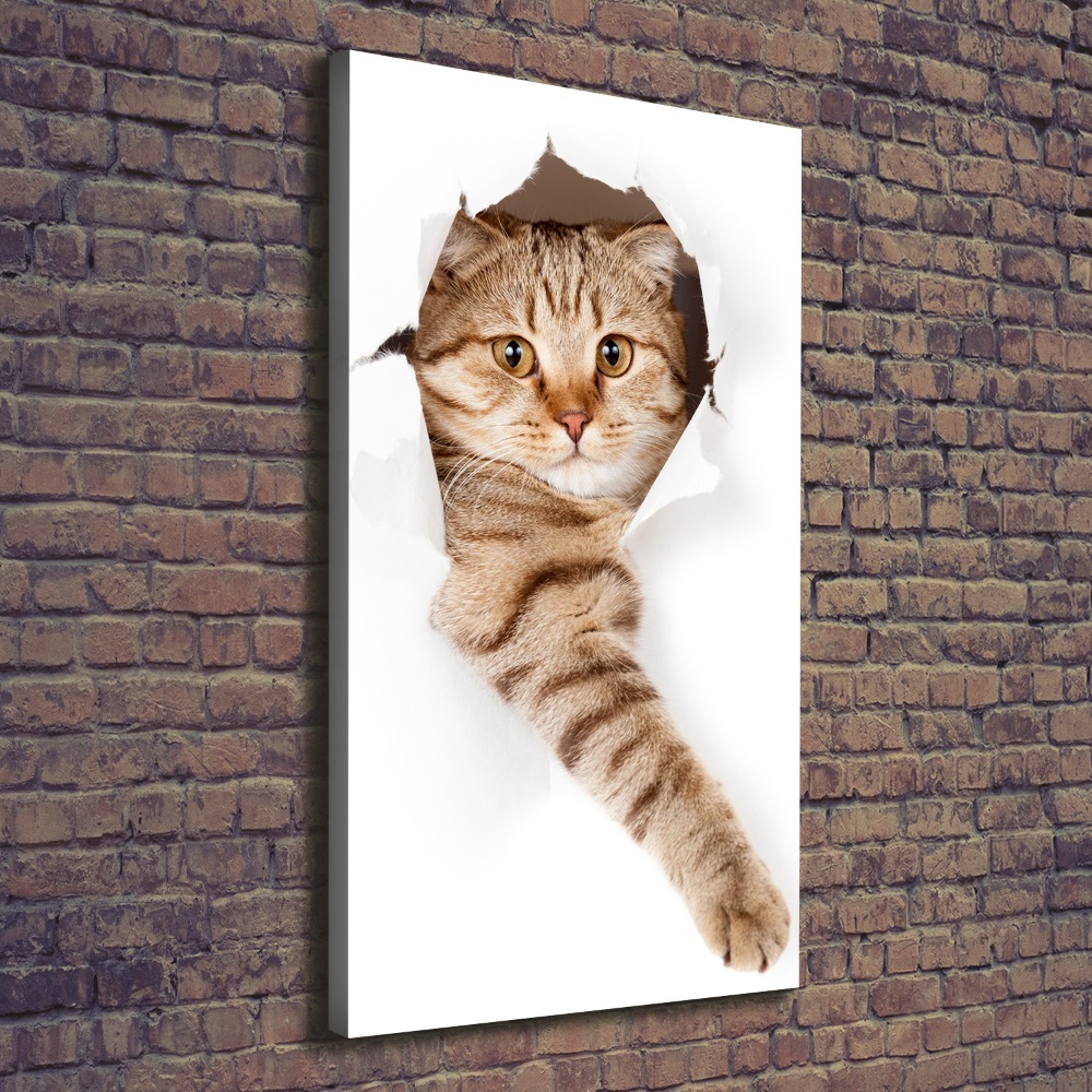 Canvas wall art Cat