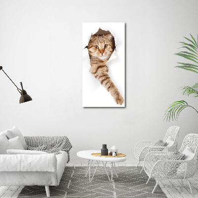 Canvas wall art Cat