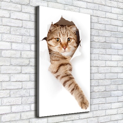 Canvas wall art Cat