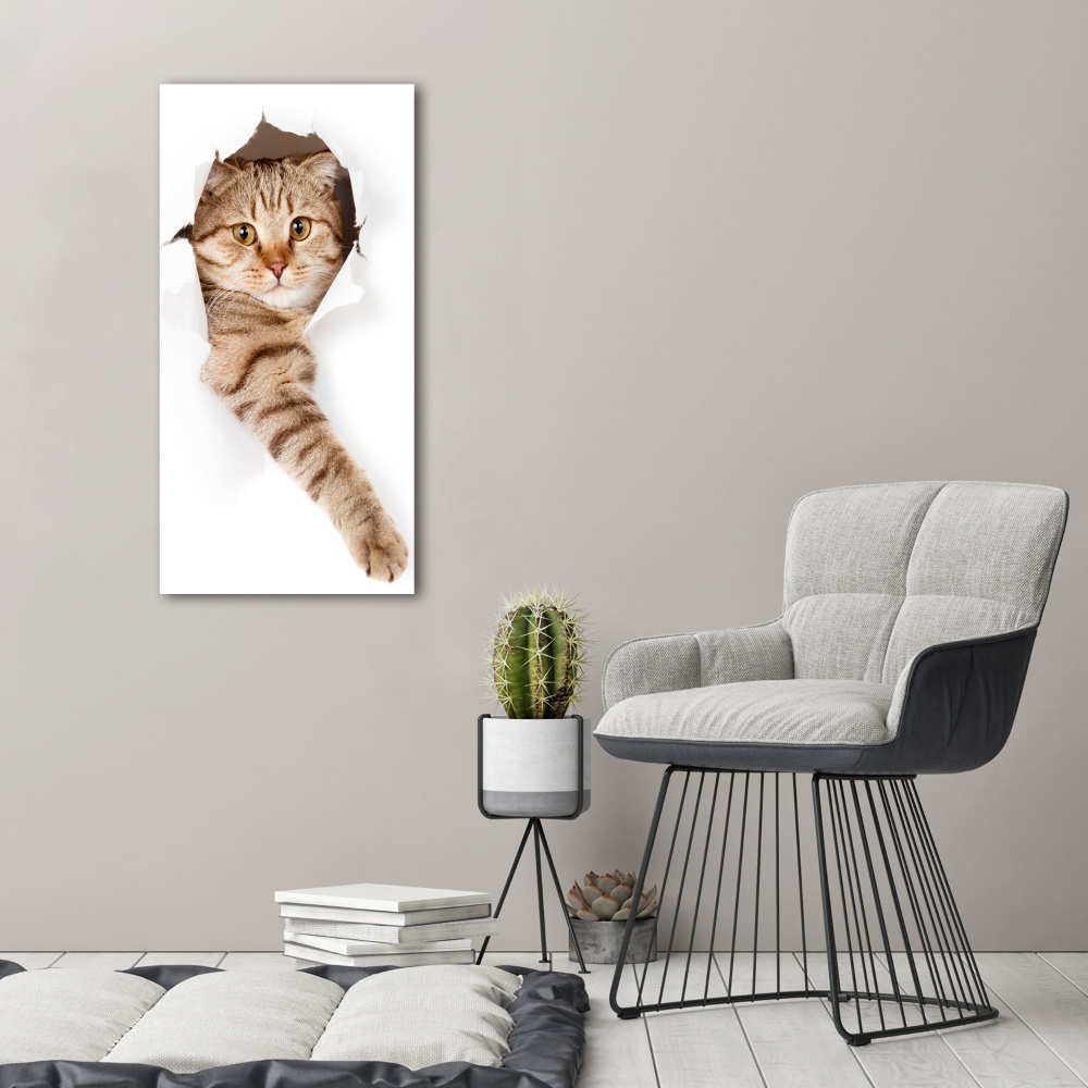 Canvas wall art Cat