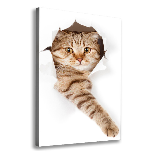 Canvas wall art Cat