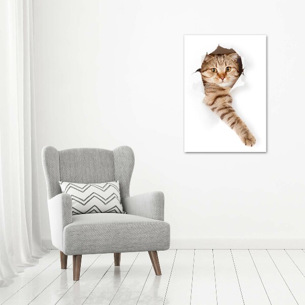 Canvas wall art Cat