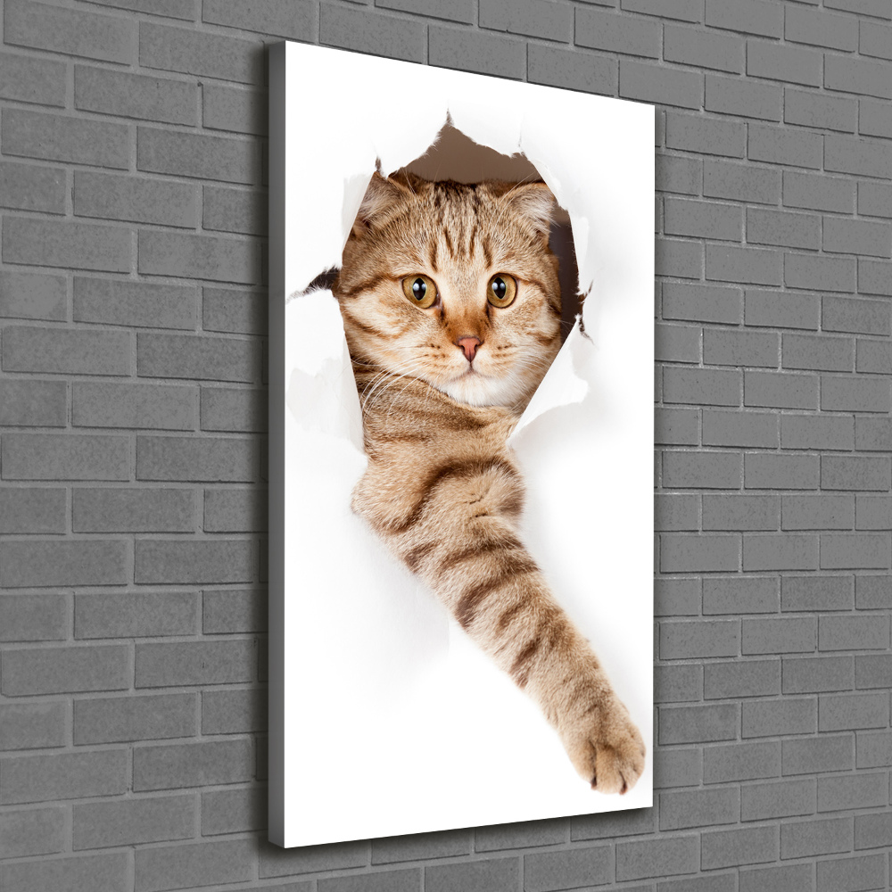 Canvas wall art Cat