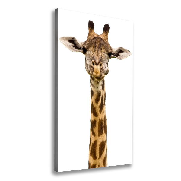 Canvas print Giraffe