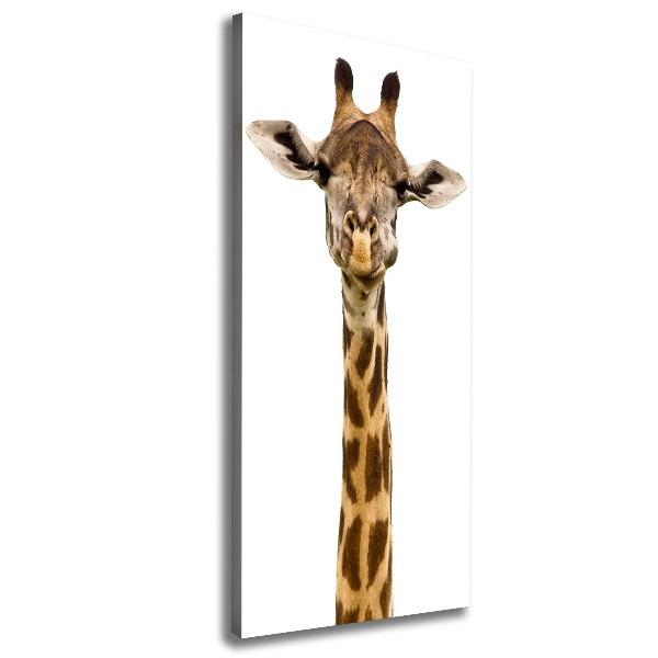 Canvas print Giraffe