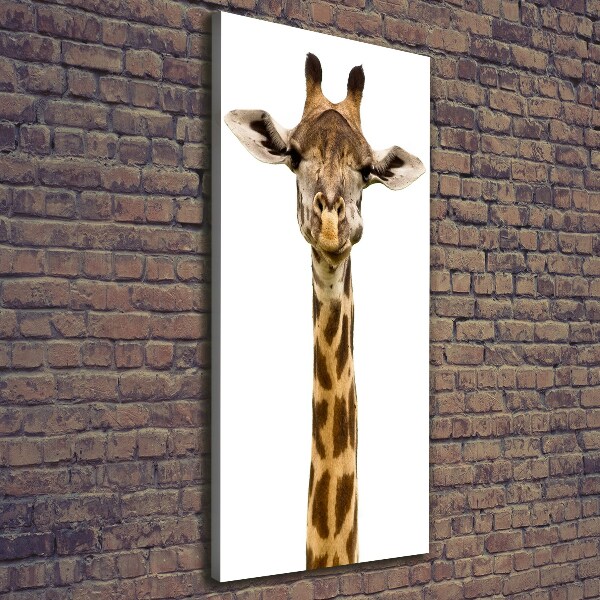 Canvas print Giraffe