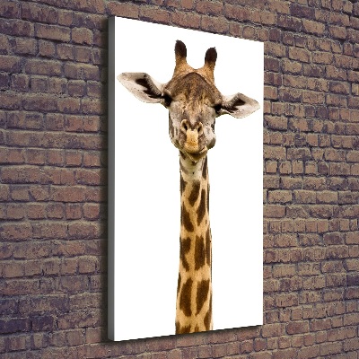 Canvas print Giraffe