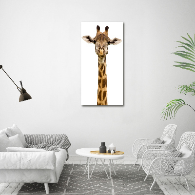 Canvas print Giraffe